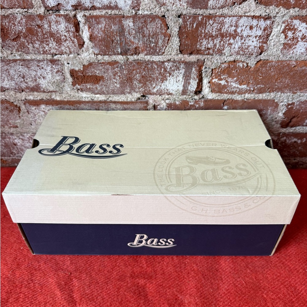 Men’s bass brown loafers